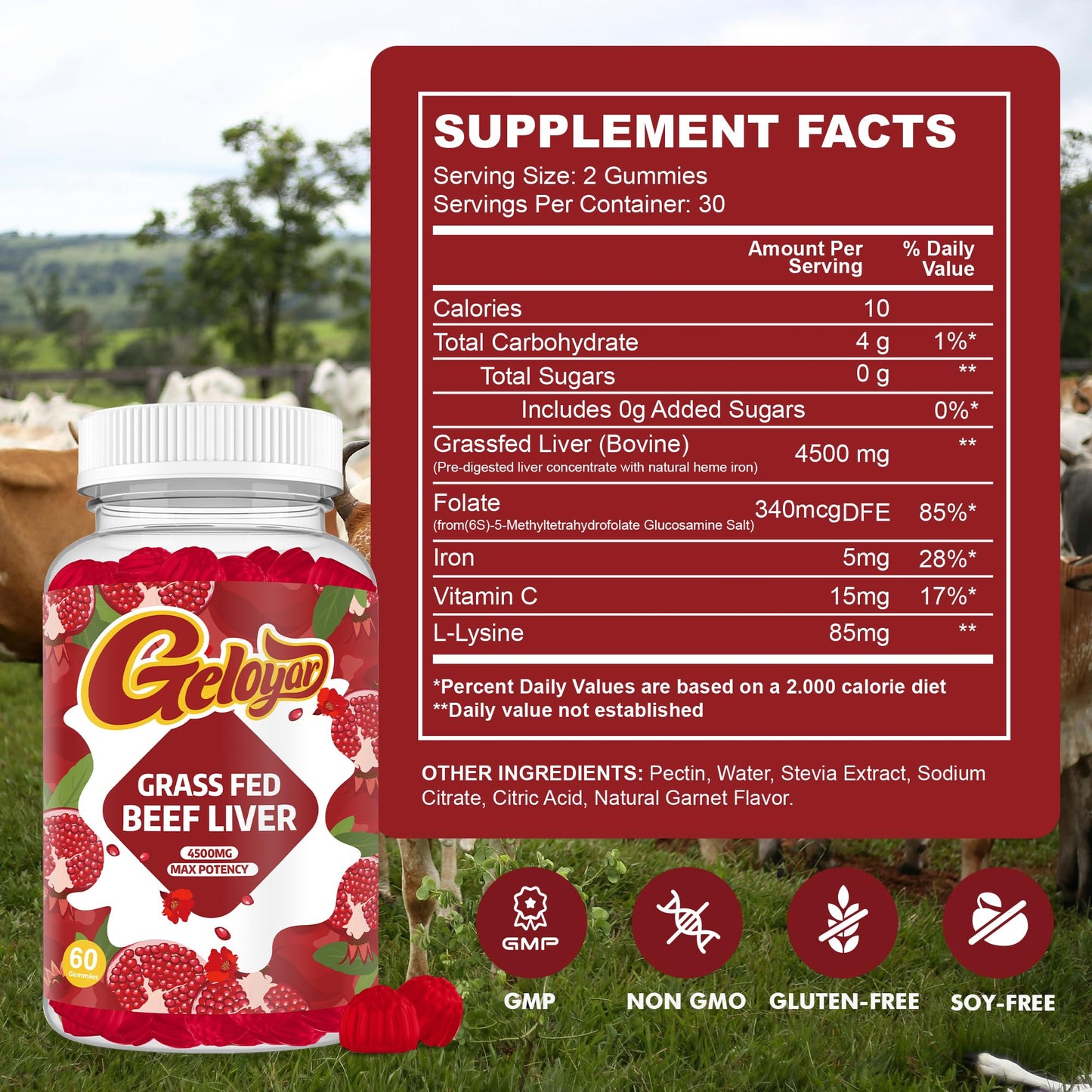 Beef Liver Gummies - Grass-Fed Heme Iron, Folate, Vitamin C | Gluten-Free & Non-GMO | 60 Count