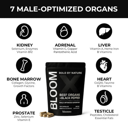 Beef Organ Supplement for Men – Grass-Fed Liver & 7 Organs | Bloom X 180 ct