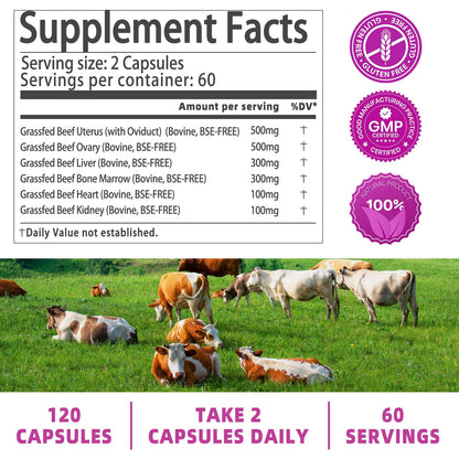 Beef Organ Supplement for Women - Grass-Fed Liver & Organs | 60 Servings
