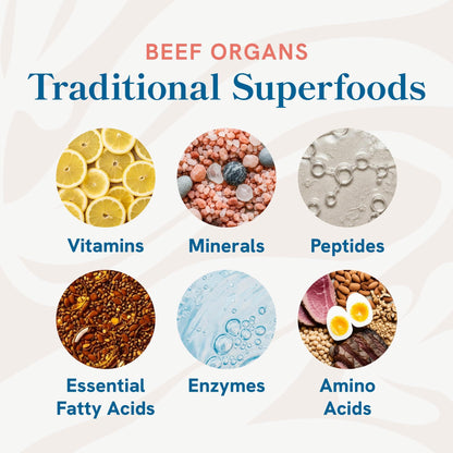 Beef Organ Supplement for Women – Hormone Health & Energy | Grass-Fed NZ Organs 60 Ct