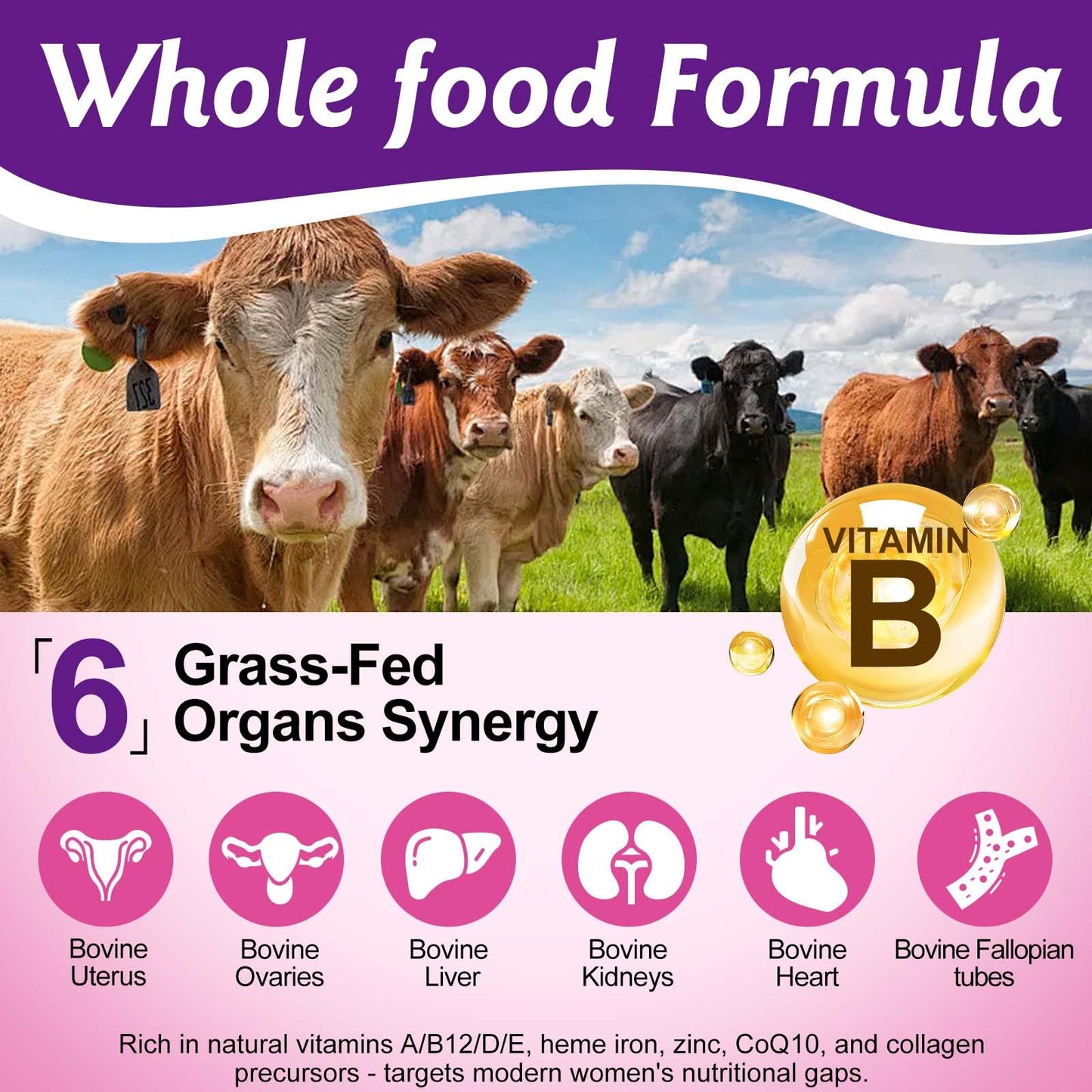 Beef Organ Supplement for Women – Grass-Fed Liver Capsules – 60 Capsules
