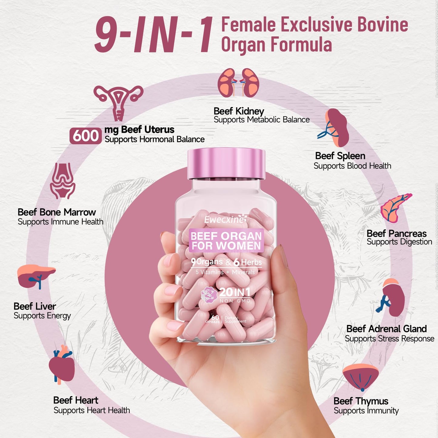 Beef Organs for Women – 600mg Uterus, Liver, Kidney & Heart | Hormone Support