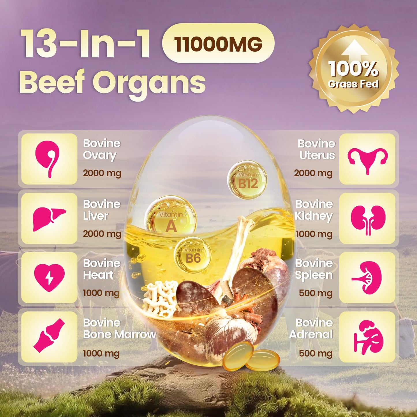 Beef Organ Supplement for Women - 100 Day Supply | 11,000mg per Serving | Grass-Fed