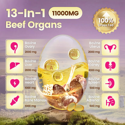 Beef Organ Supplement for Women - 100 Day Supply | 11,000mg per Serving | Grass-Fed