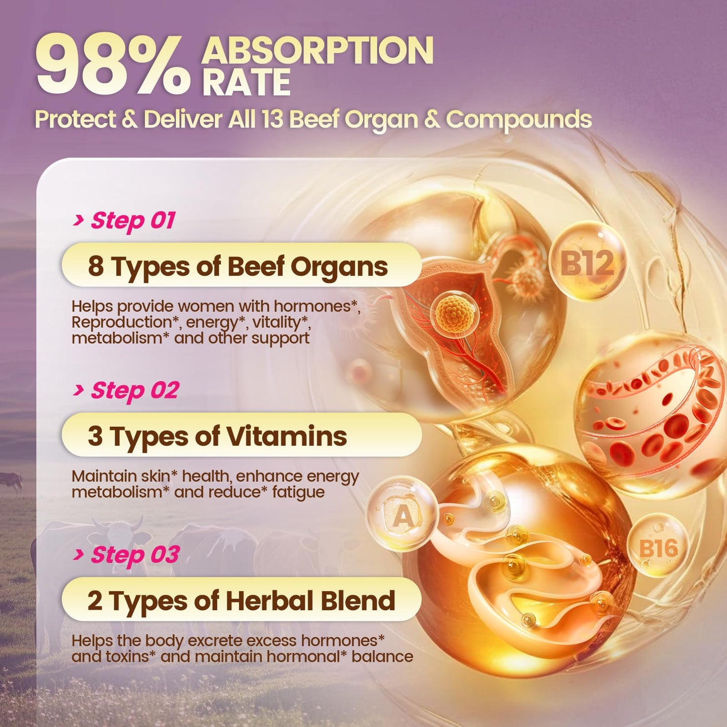 Beef Organ Supplement for Women - 100 Day Supply | 11,000mg per Serving | Grass-Fed
