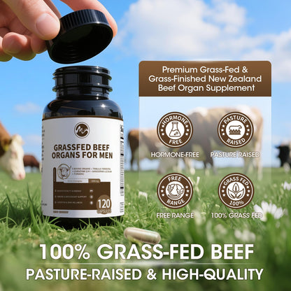 Beef Organs Supplement for Men – 13-in-1 Grass-Fed Beef Organs, Tribulus Terrestris, CoQ10, Ganoderma | 120 Count
