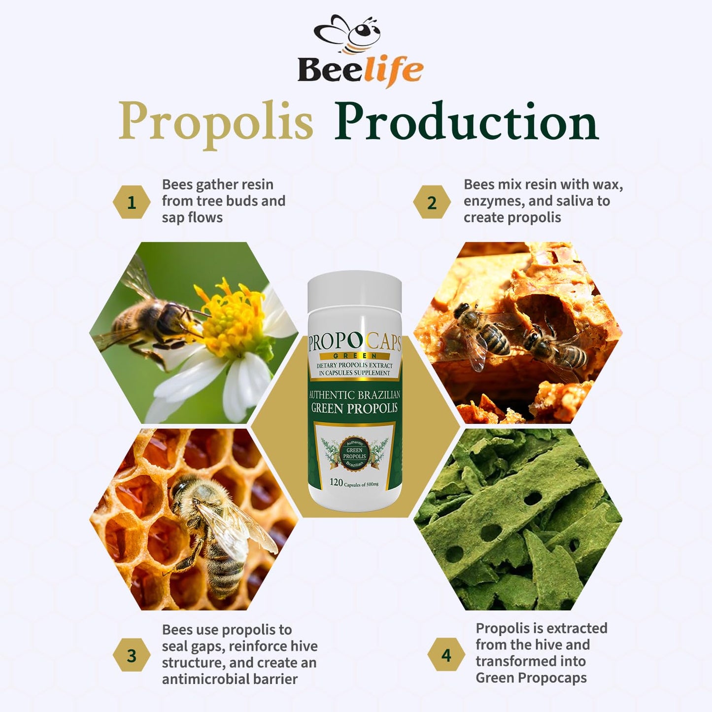Beelife Green Propolis Capsules - 100% Green Propolis & Bee Pollen - Brazilian Propolis Extract - ISO 22000, Kosher - 120 Capsules