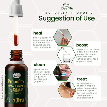 Beelife Propoflex Green Propolis Extract | Alcohol-Free Propolis Tincture | High Artepillin-C | Made in Brazil