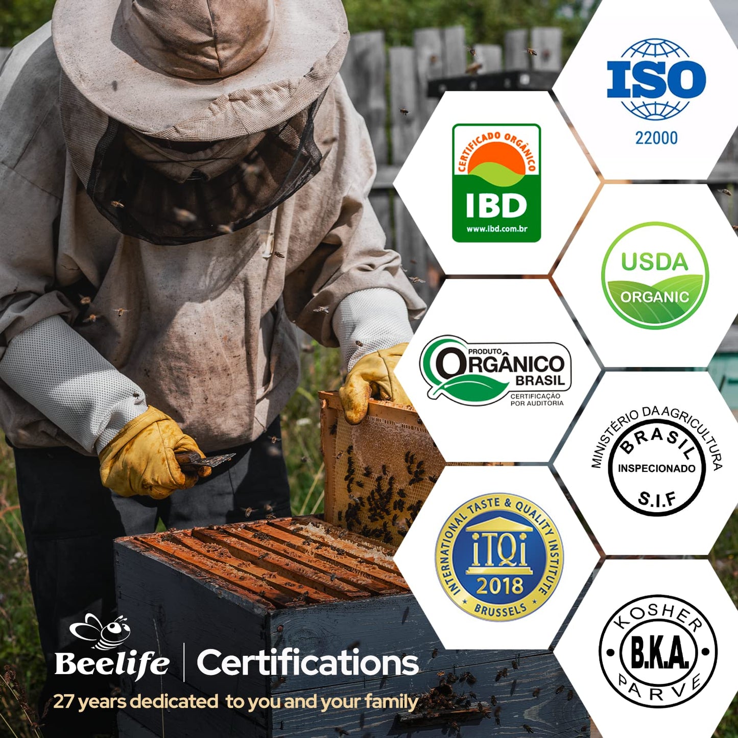 Beelife Propoflex Green Propolis Extract | Alcohol-Free Propolis Tincture | High Artepillin-C | Made in Brazil