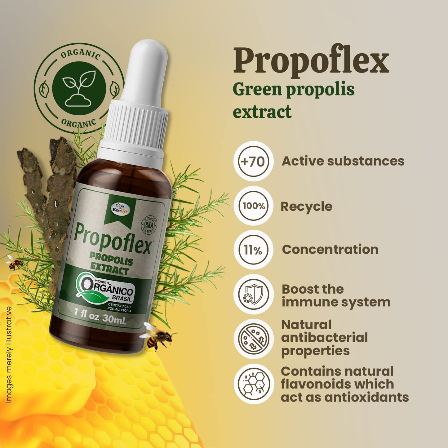 Beelife Propoflex Organic Green Propolis Extract – High Artepillin-C, 1 Fl Oz
