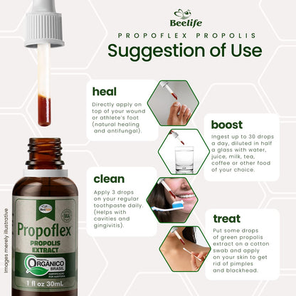 Beelife Propoflex Organic Green Propolis Extract – High Artepillin-C, 1 Fl Oz