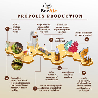 Beelife Propoflex Organic Green Propolis Extract – High Artepillin-C, 1 Fl Oz