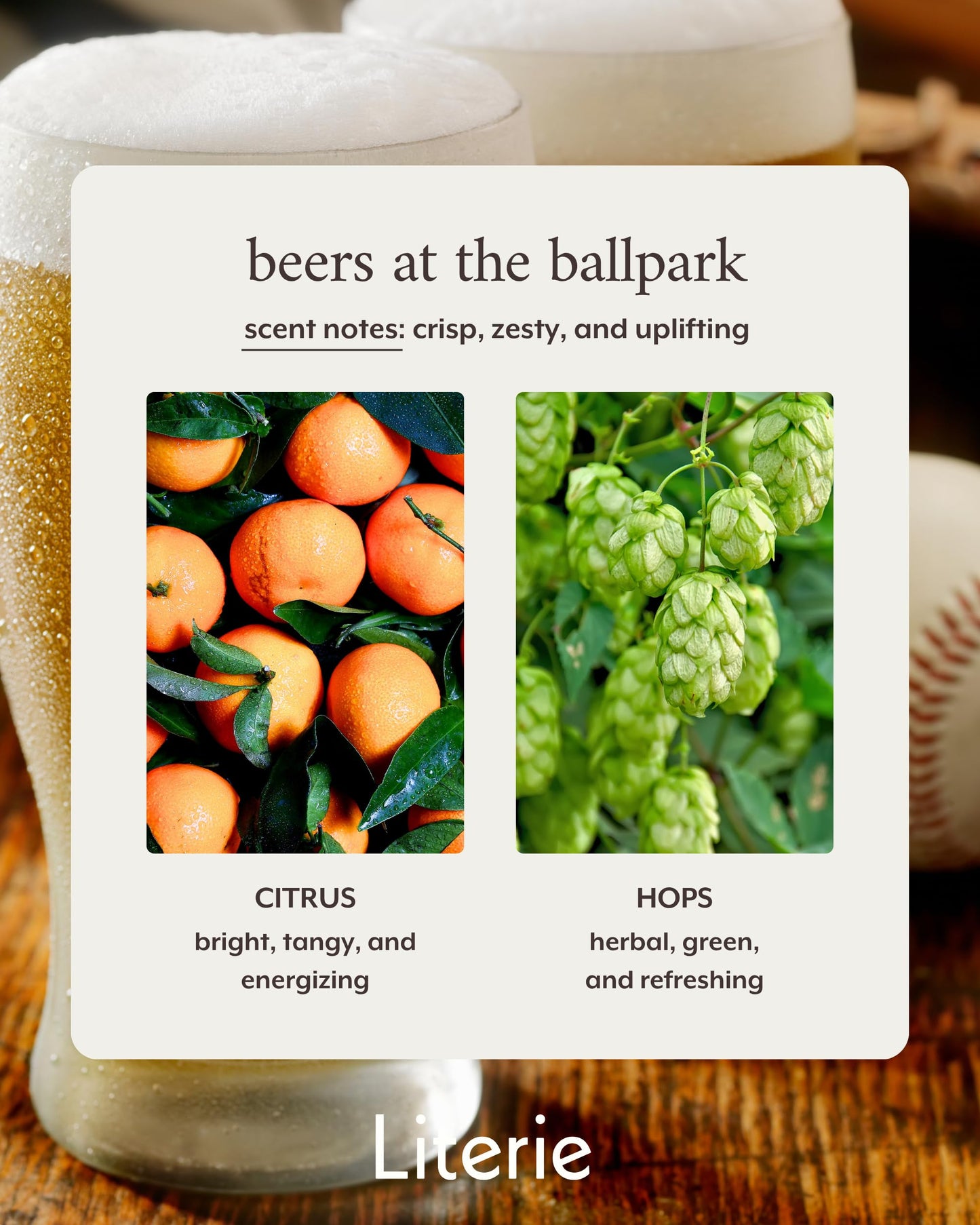 Beers at the Ballpark Candle – NYC Inspired Citrus & Hops, 9oz