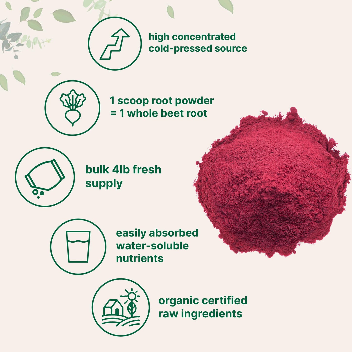 Micro Ingredients Organic Beet Root Powder – 4 Lbs, Cold-Pressed & Water-Soluble