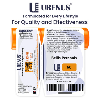 Bellis Perennis 6C Sugar Free Lactose Free Homeopathic Remedy – 110 Pellets | Urenus