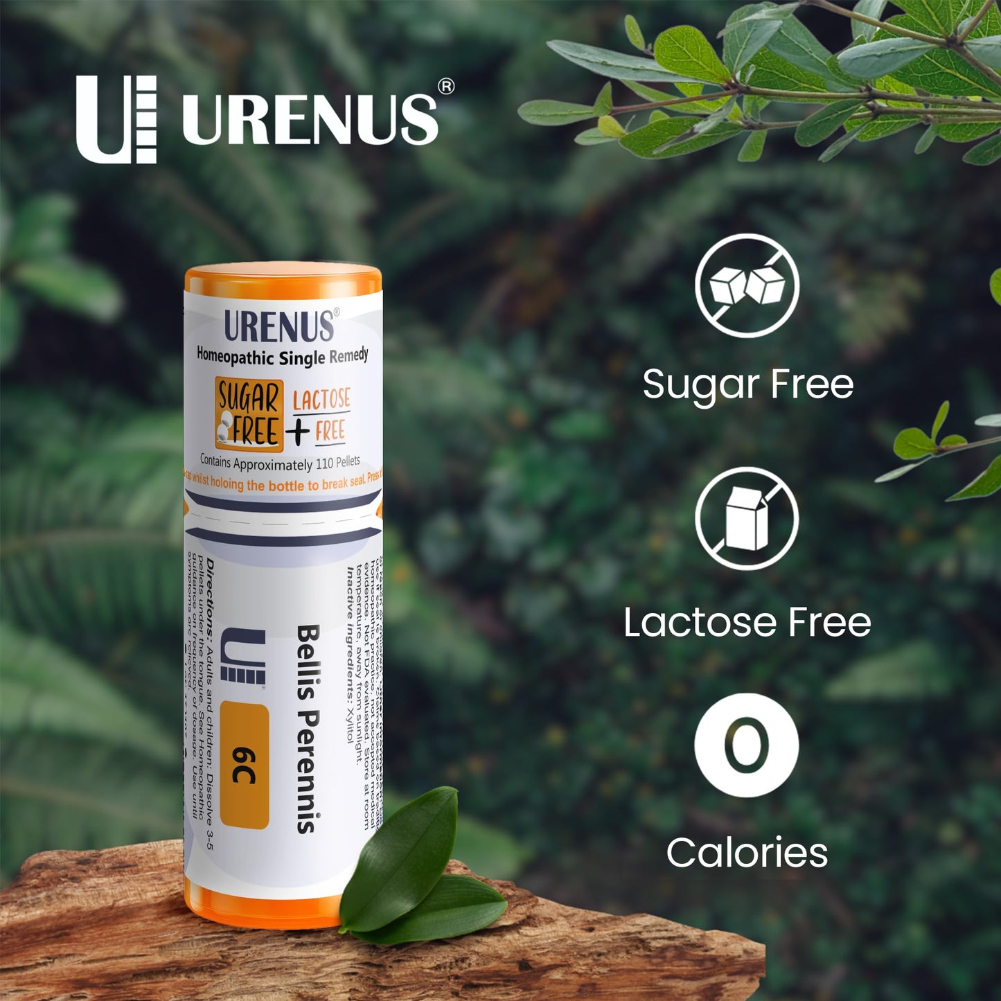 Bellis Perennis 6C Sugar Free Lactose Free Homeopathic Remedy – 110 Pellets | Urenus