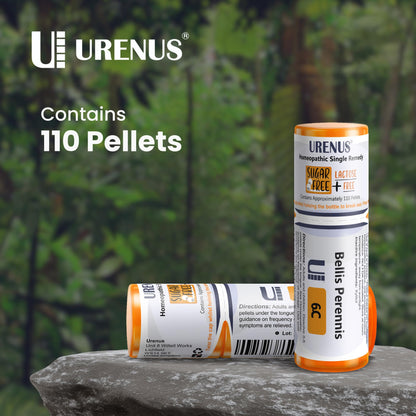 Bellis Perennis 6C Sugar Free Lactose Free Homeopathic Remedy – 110 Pellets | Urenus