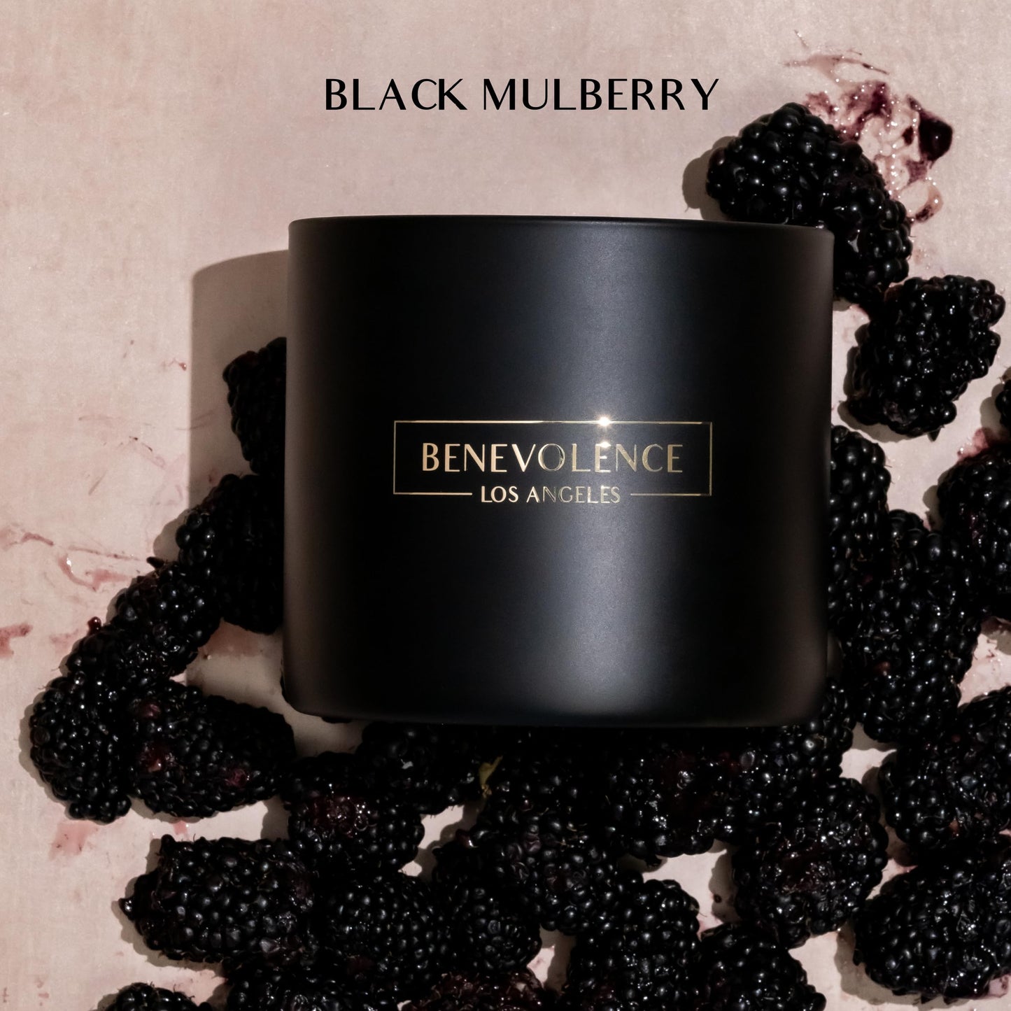 Benevolence LA 3-Wick Candle – Black Berries (Baies) – Large Christmas Scented Soy Candle | 14.5 oz, 45 Hour Burn
