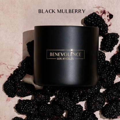 Benevolence LA 3-Wick Candle – Black Berries (Baies) – Large Christmas Scented Soy Candle | 14.5 oz, 45 Hour Burn