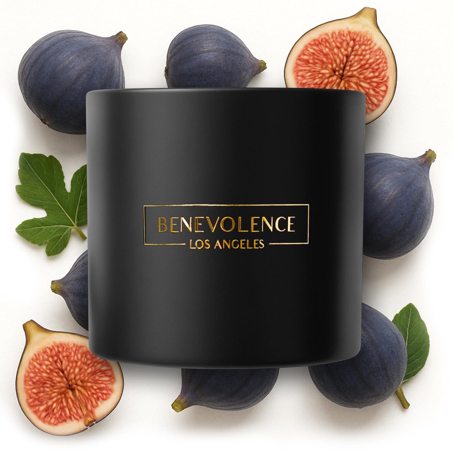 Benevolence LA 3-Wick Fig Tree Candle – 14.5 oz Soy, Holiday Scent