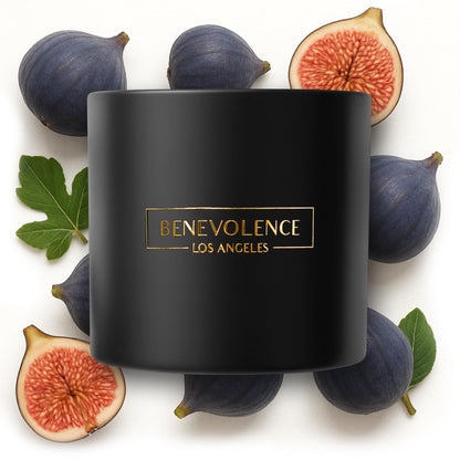 Benevolence LA 3-Wick Fig Tree Candle – 14.5 oz Soy, Holiday Scent