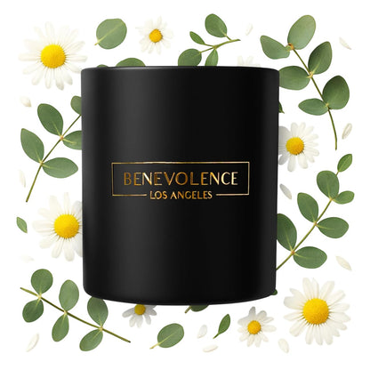 Benevolence LA Eucalyptus & Chamomile 8oz Soy Candle | Holiday Gift