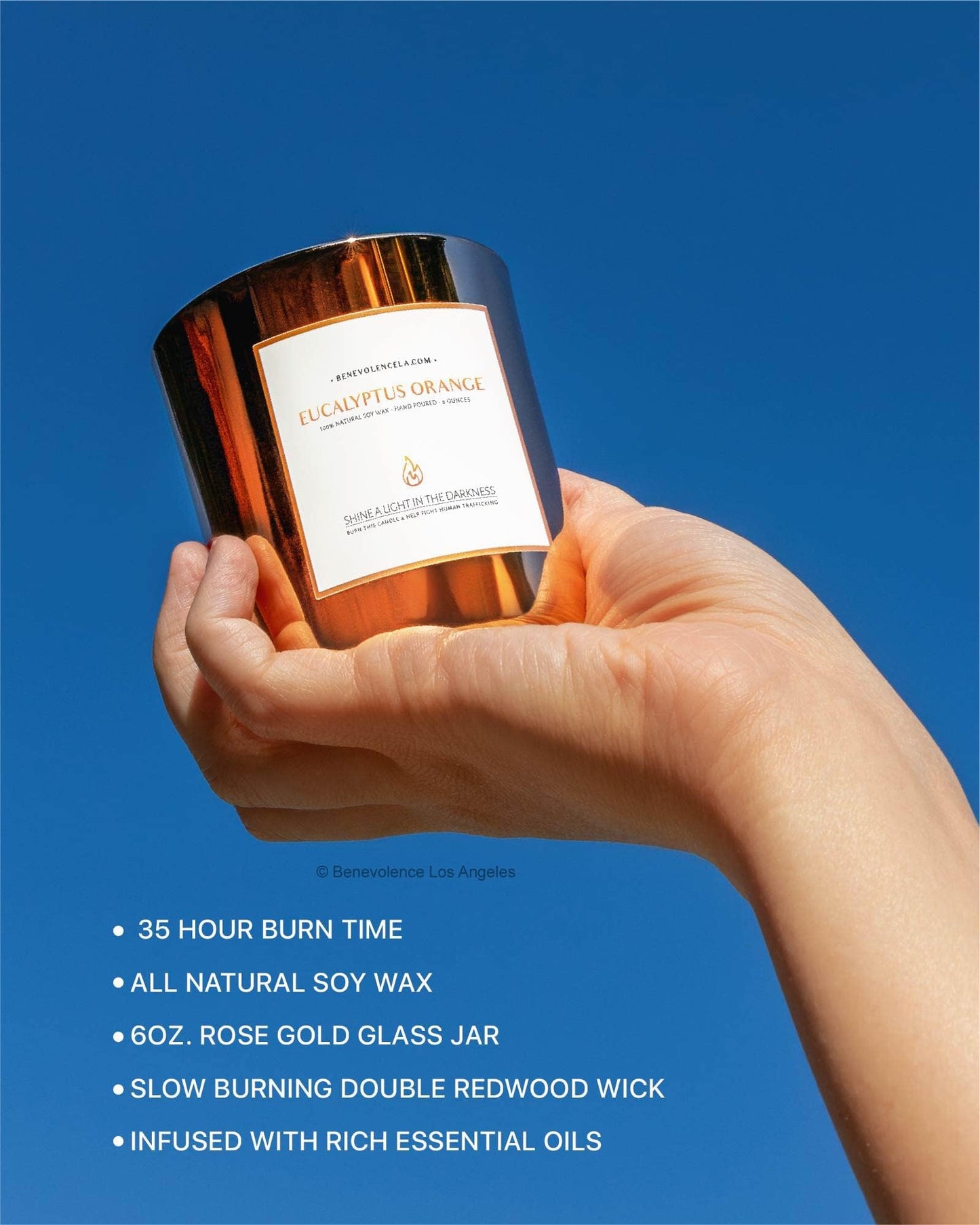 Benevolence LA Eucalyptus Orange Wood Wick Candle | 8oz, 45 Hour Burn