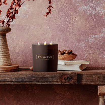Benevolence LA 3-Wick Fig Tree Candle – 14.5 oz Soy, Holiday Scent
