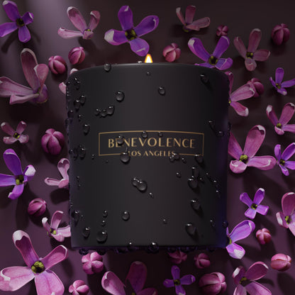 Benevolence Lavender & Lilac Soy Candle | 8oz Black Holiday