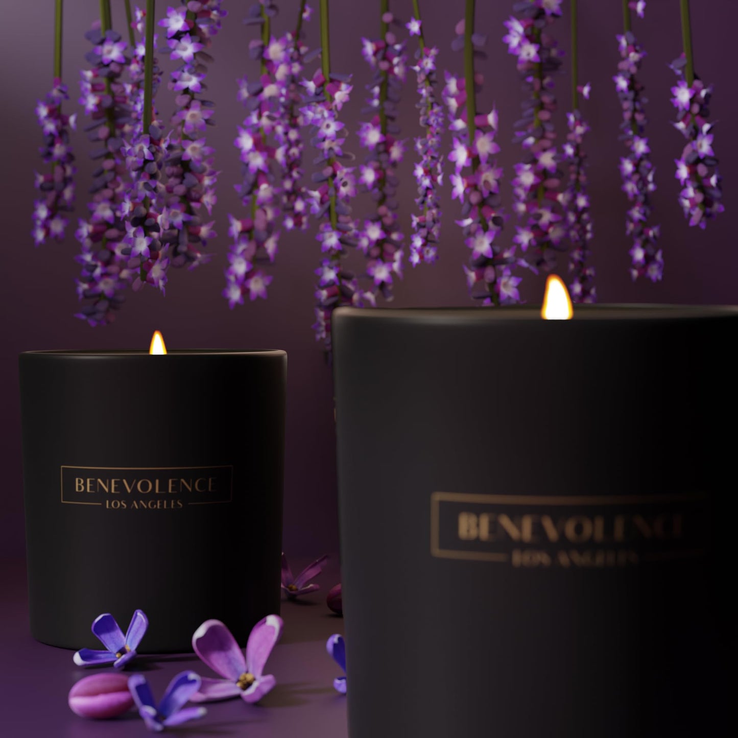 Benevolence Lavender & Lilac Soy Candle | 8oz Black Holiday
