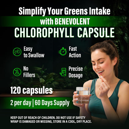 Benevolent Chlorophyll Capsules 350mg – 120 Caps | Natural, 20x Potency