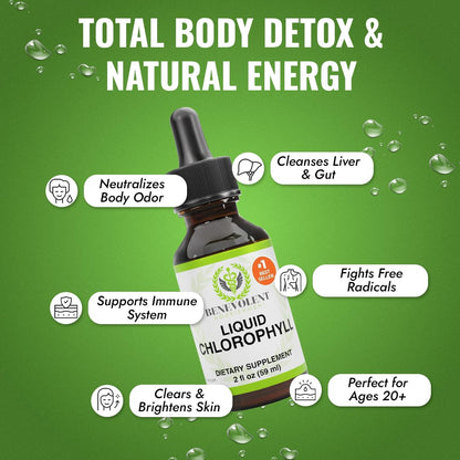 Benevolent Nourishment Chlorophyll Supplement - Mint Drops, 59ml, 4 Month Supply