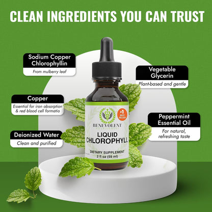 Benevolent Nourishment Chlorophyll Supplement - Mint Drops, 59ml, 4 Month Supply