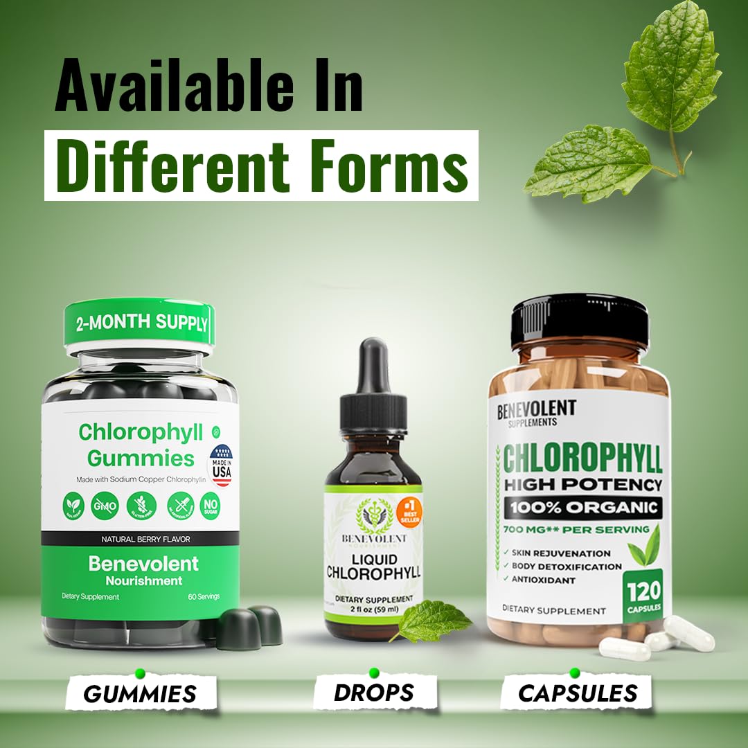 Benevolent Nourishment Chlorophyll Supplement - Mint Drops, 59ml, 4 Month Supply