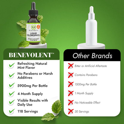 Benevolent Nourishment Chlorophyll Supplement - Mint Drops, 59ml, 4 Month Supply
