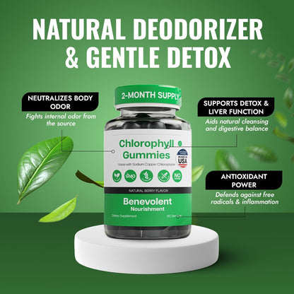 Chlorophyll Gummies – Detox & Immune Support, Sugar-Free | 60 Count