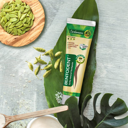 Bentodent Natural Toothpaste Cardamom 2-Pack for the Whole Family – SLS & Fluoride Free