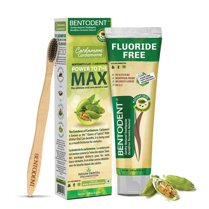 Bentodent Fluoride-Free Remineralizing Bentonite Toothpaste with Cardamom – Mint-Free, 3.52 oz