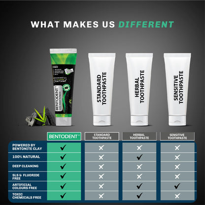 Bentodent Fluoride-Free Charcoal Toothpaste with Bentonite Clay | Natural Vegan Whitening
