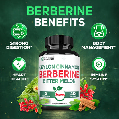 Berberine 1500mg with Organic Cinnamon Bark & Bitter Melon – 240 Vegan Capsules (80 Servings)