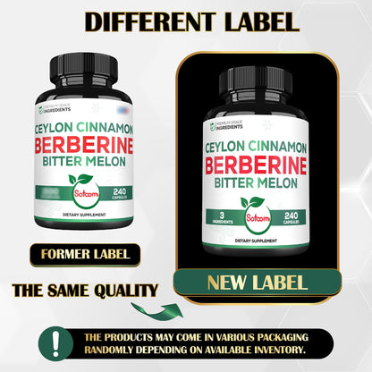 Berberine 1500mg with Organic Cinnamon Bark & Bitter Melon – 240 Vegan Capsules (80 Servings)