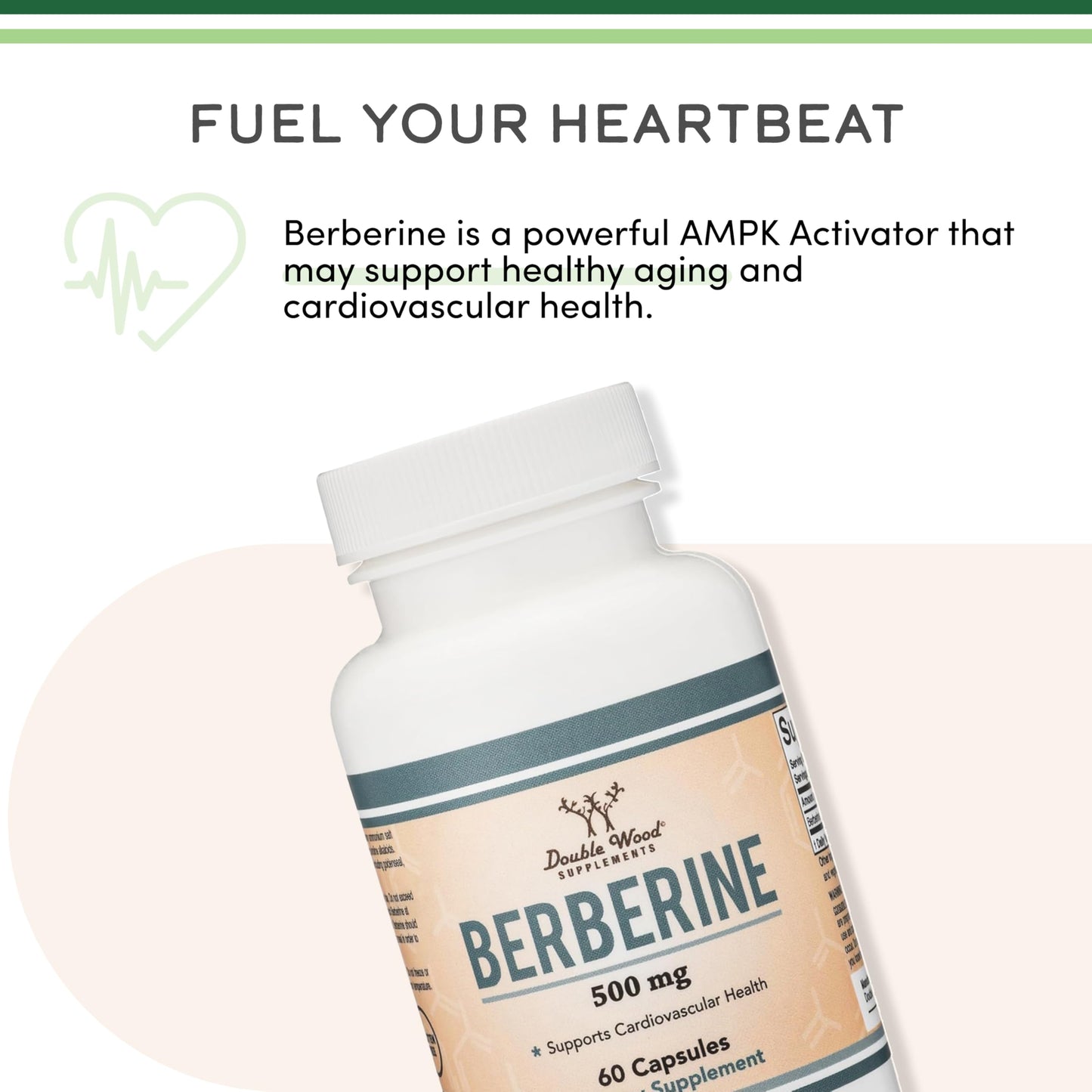 Berberine 500mg 60 Capsules – AMPK Activator for Cardiovascular Health