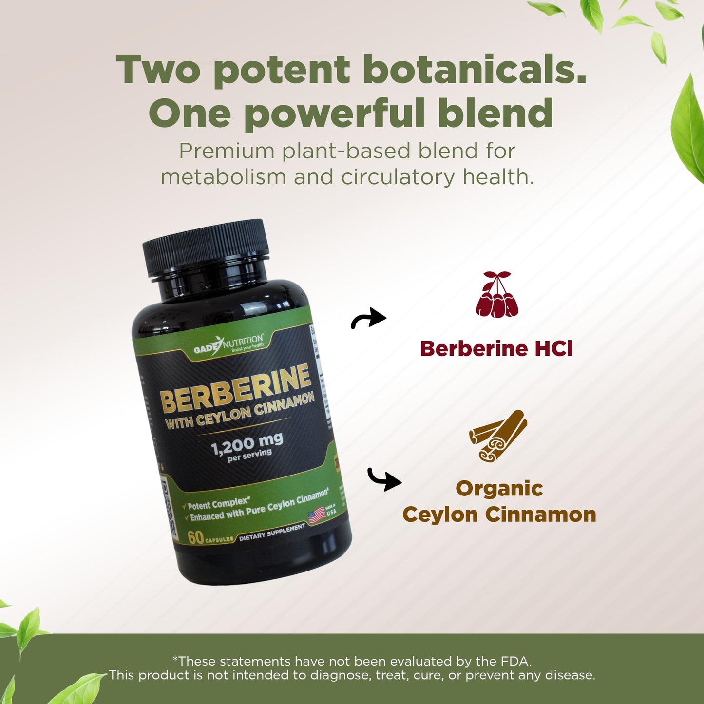 Gade Nutrition Berberine with Ceylon Cinnamon | Berberine HCl 1200 mg | USA Made