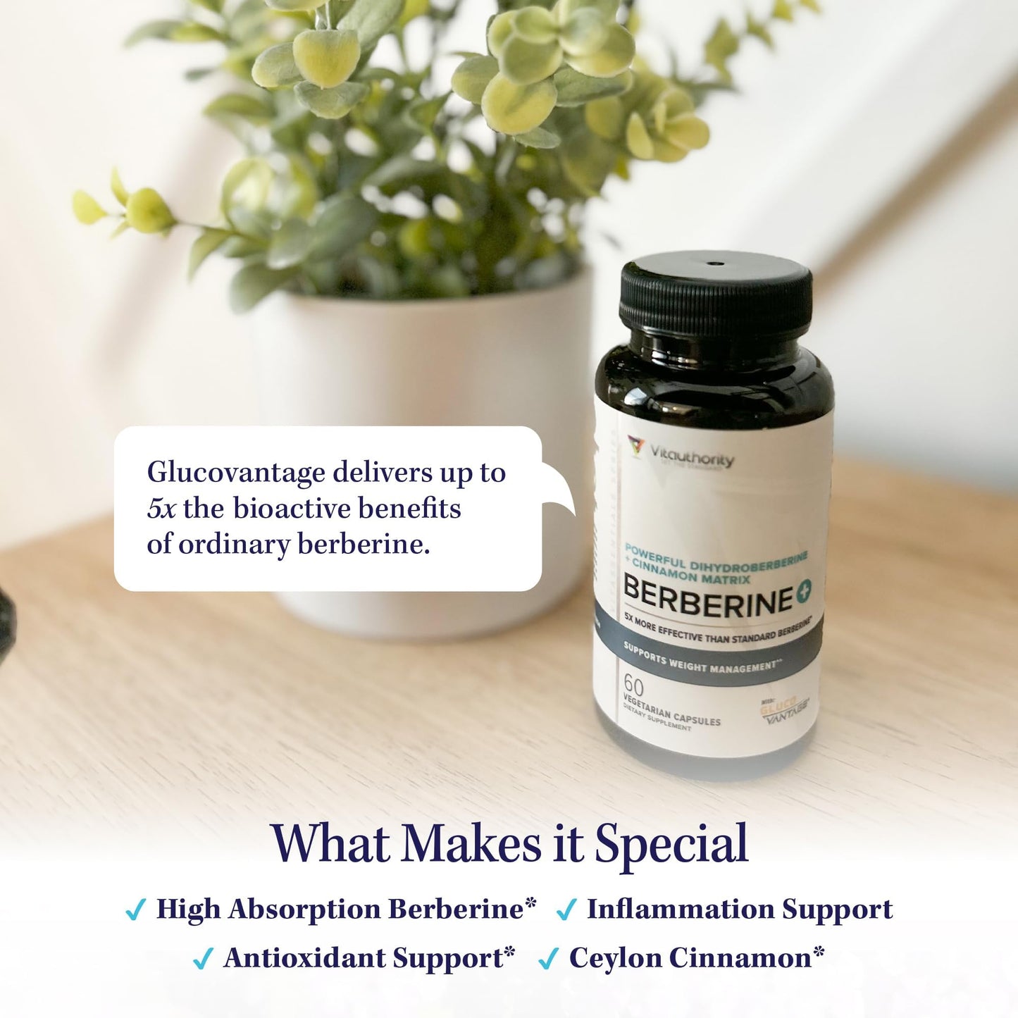 Berberine Ceylon Cinnamon Capsules | High Absorption Dihydroberberine | Vegan & Gluten Free | 30 Servings