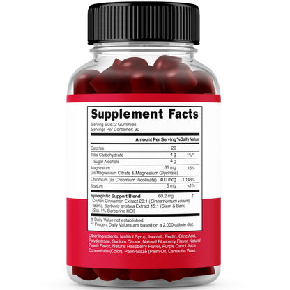 Berberine Gummies with Ceylon Cinnamon (1,200mg) – Sugar-Free, 60 Count, Pack of 2 | Made in USA, Third-Party Tested