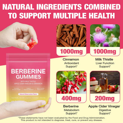CSDLQNF Berberine Gummies with Cinnamon & Milk Thistle – Sugar-Free Watermelon (60 Count)