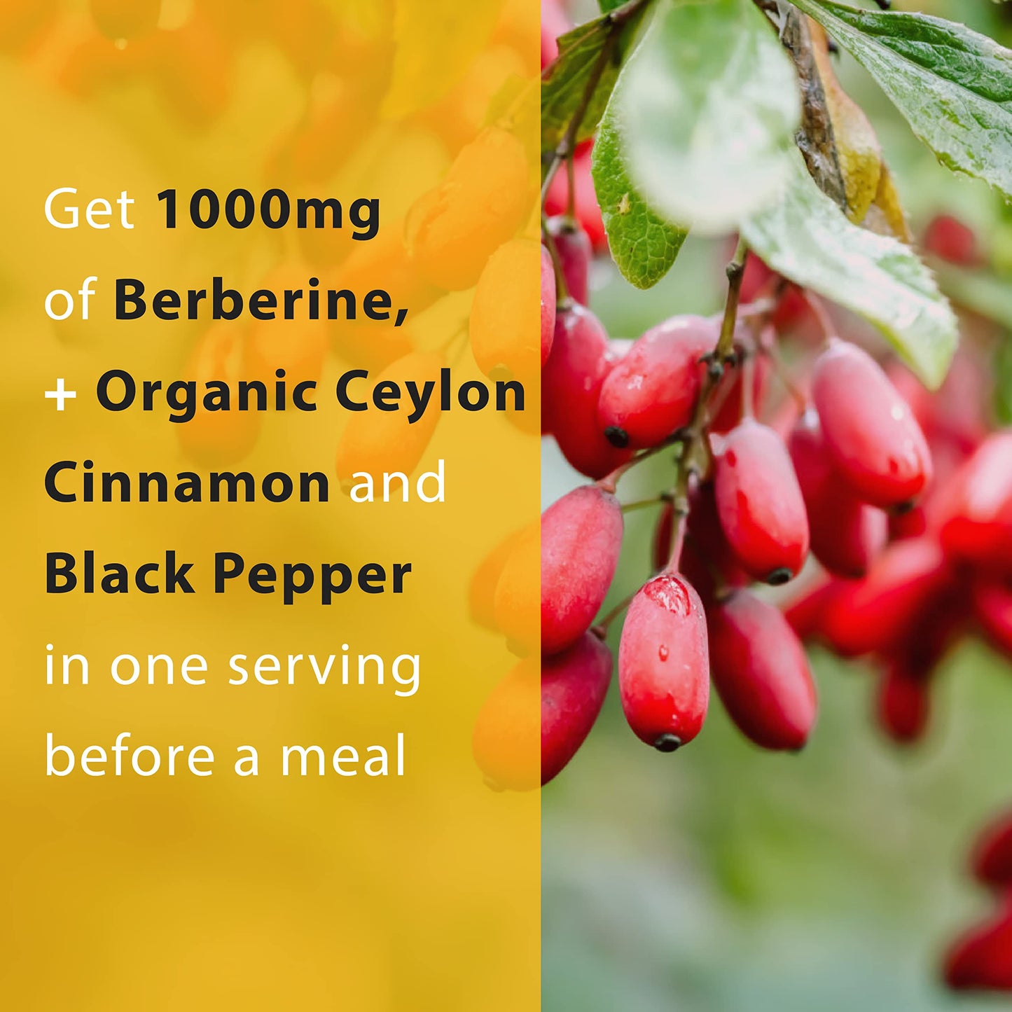 Thomas' All-Natural Berberine 500mg (1000mg per serving) - 120 Vegan Capsules