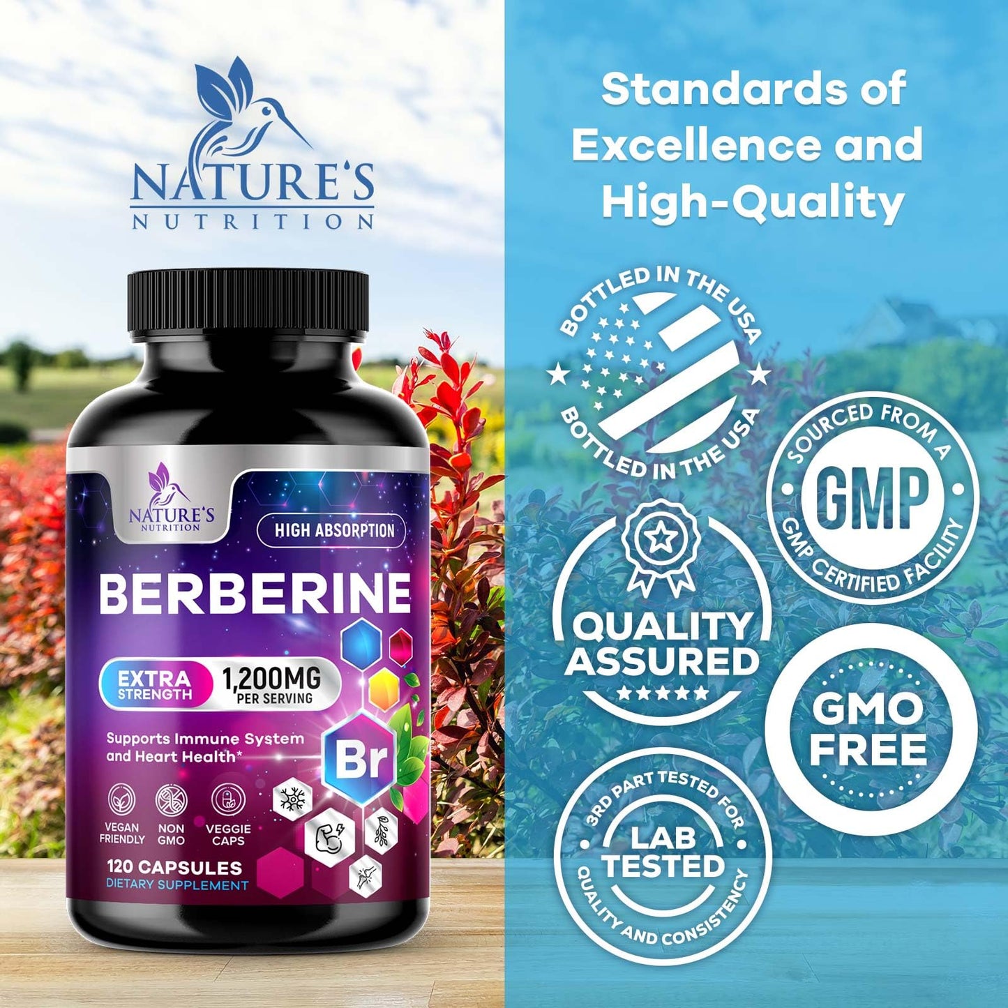 Berberine HCL 1200mg - High Absorption Capsule for Heart Health & Immune Support | Vegan, Gluten-Free, Non-GMO | 120 Veggie Capsules