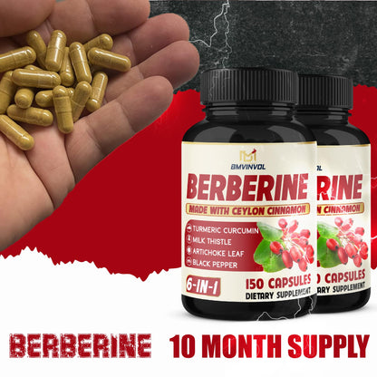 2 Pack Berberine HCl + Cinnamon, Turmeric & Milk Thistle - Immune Support