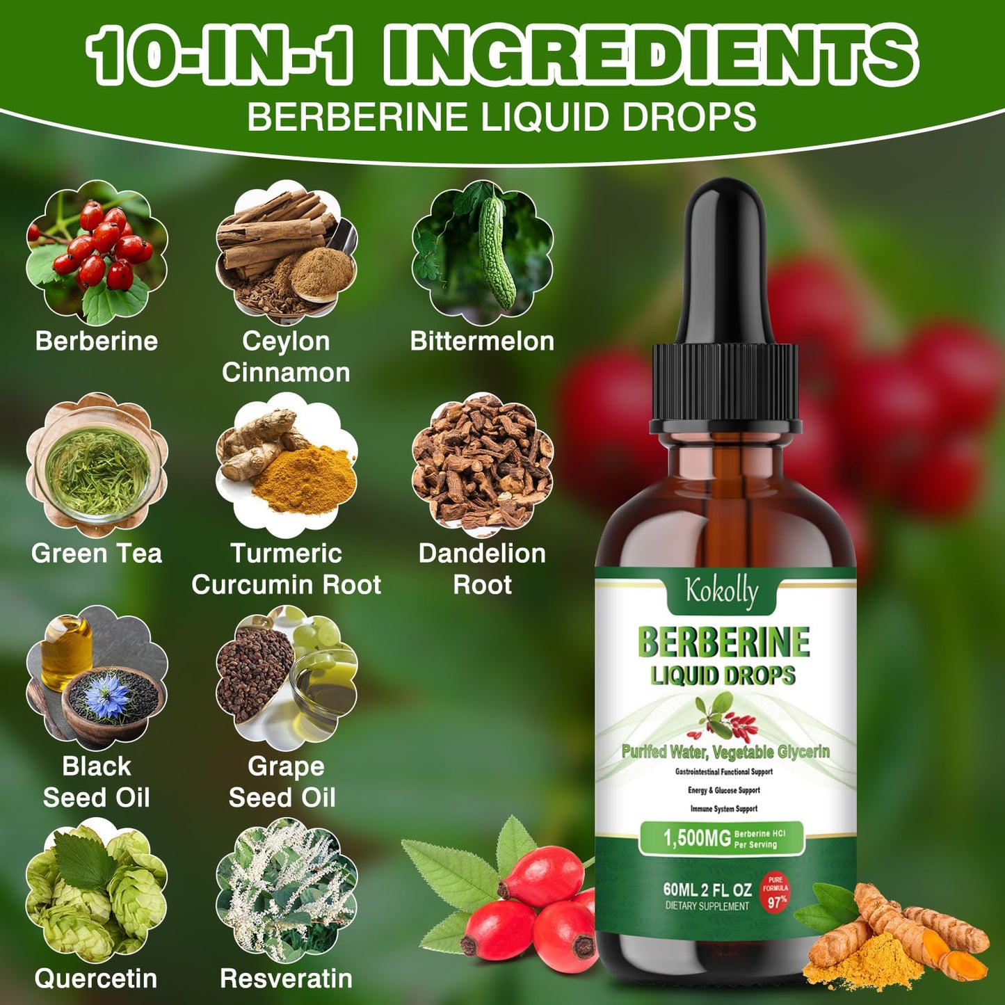 Berberine HCL Liquid Drops 1500mg | Metabolism & Immune Support